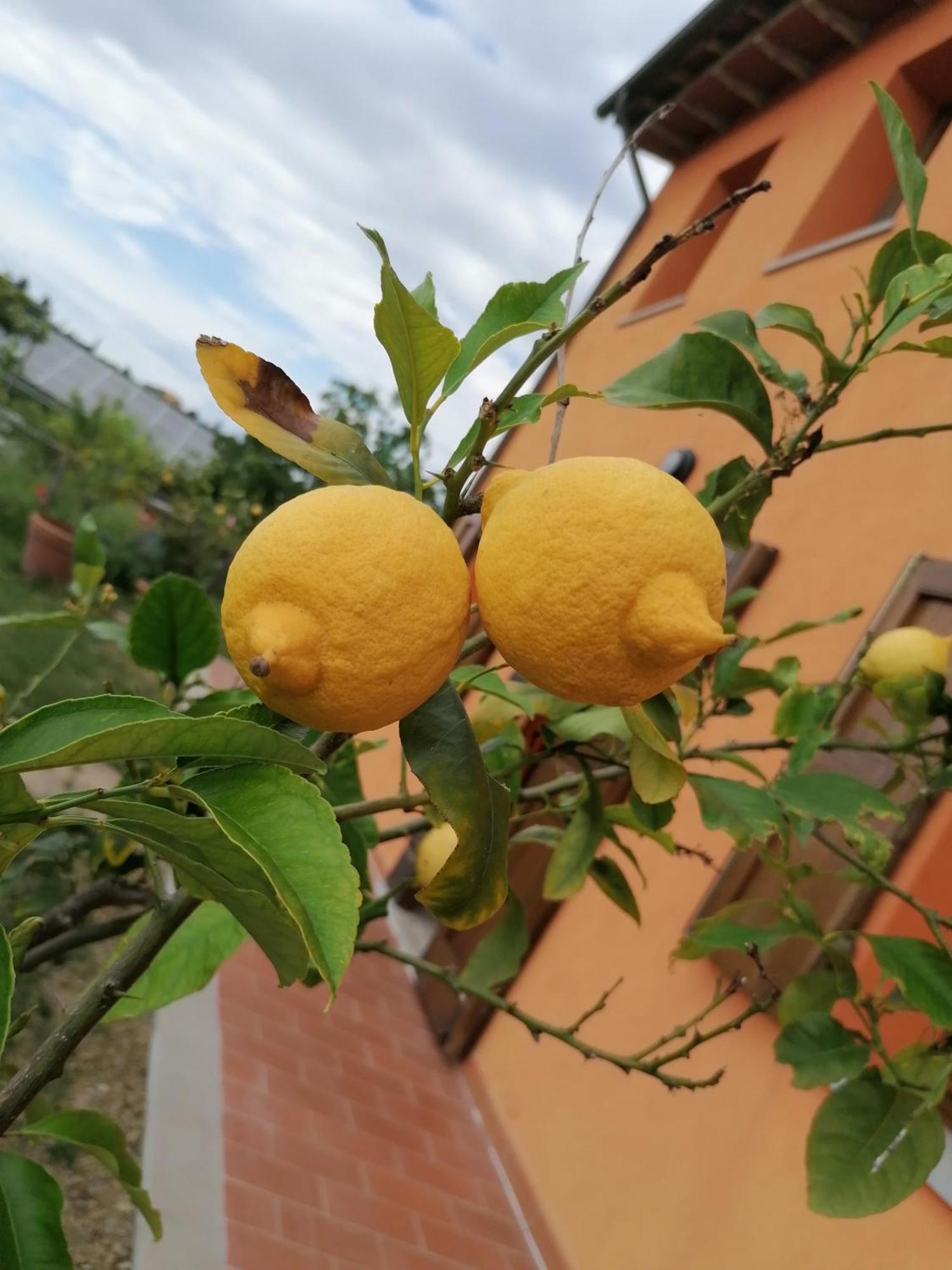 מוטספרטולי Agriturismo Borgo Stella מראה חיצוני תמונה